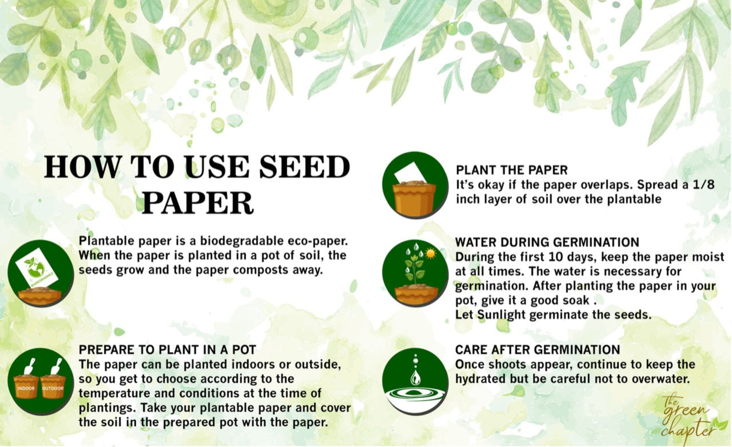 Seed Paper Grow Instructions