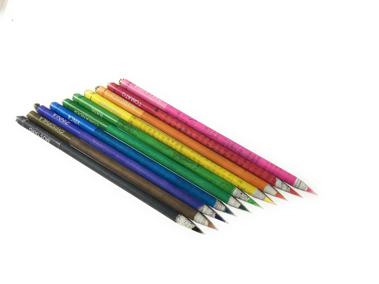 Pencil Color Lead - Seed Coloring Pencils - THE GREEN CHAPTER