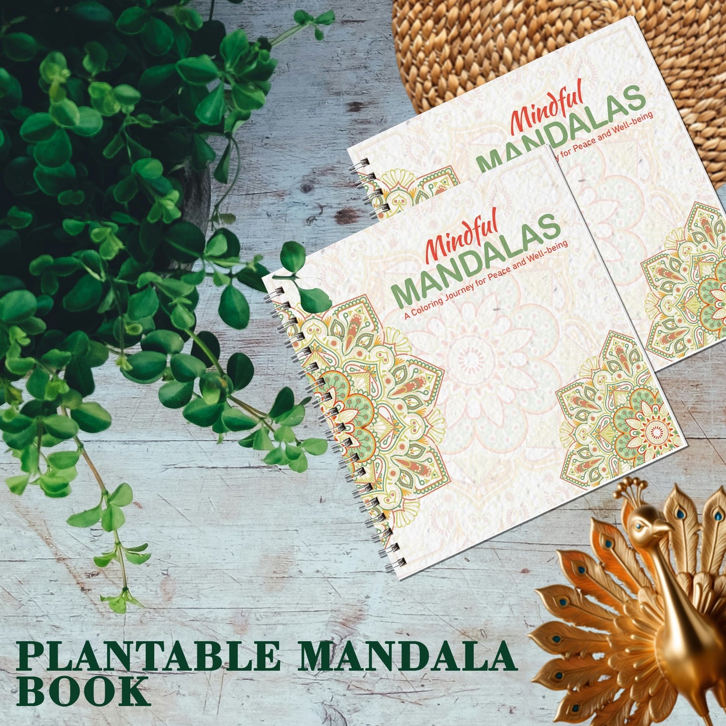 Plantable Mandala Coloring Book