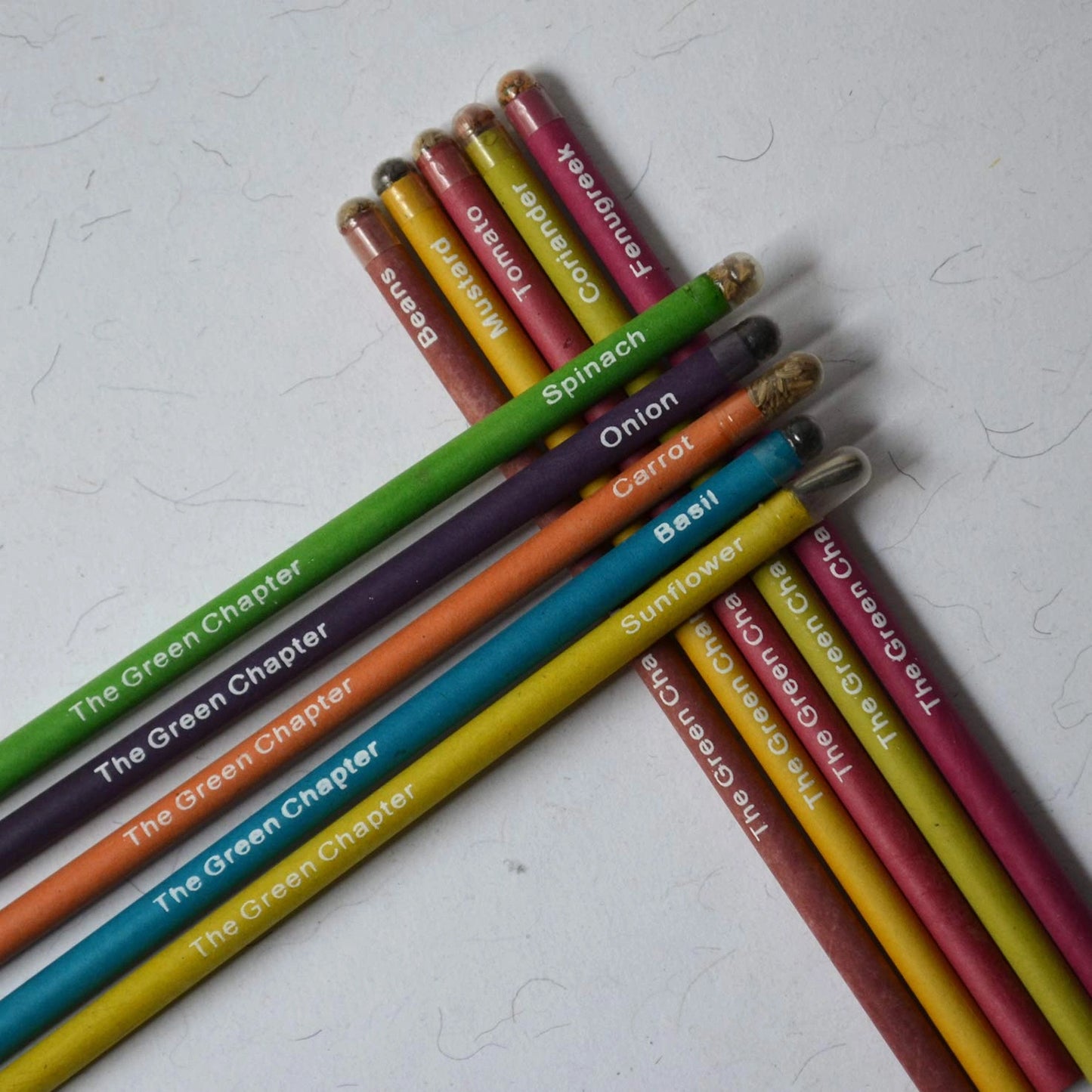 Ecofriendly Plantable Stationery for School