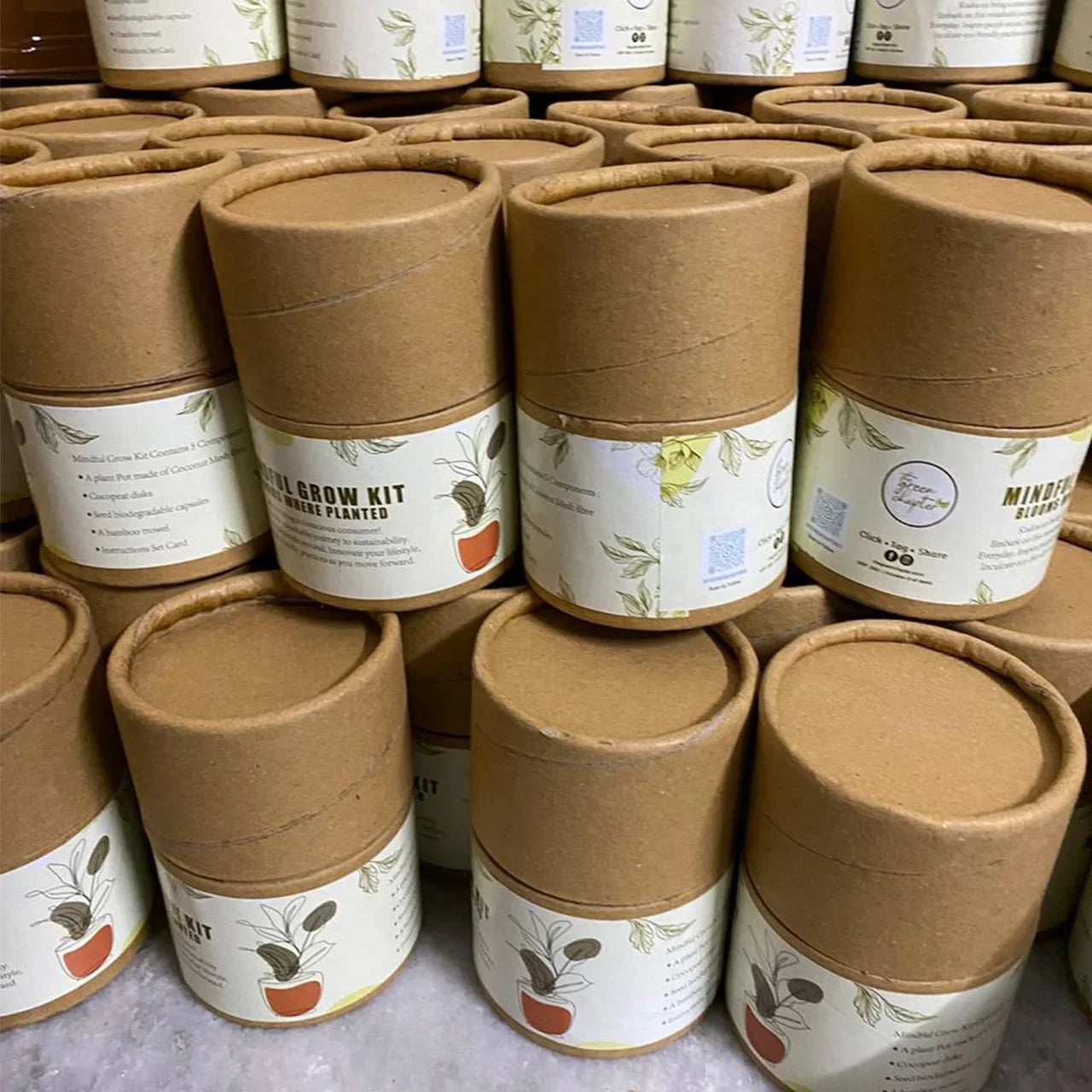 Eco-Friendly Grow Kit – Seed Starter Kit for Kids & Adults - THE GREEN CHAPTER