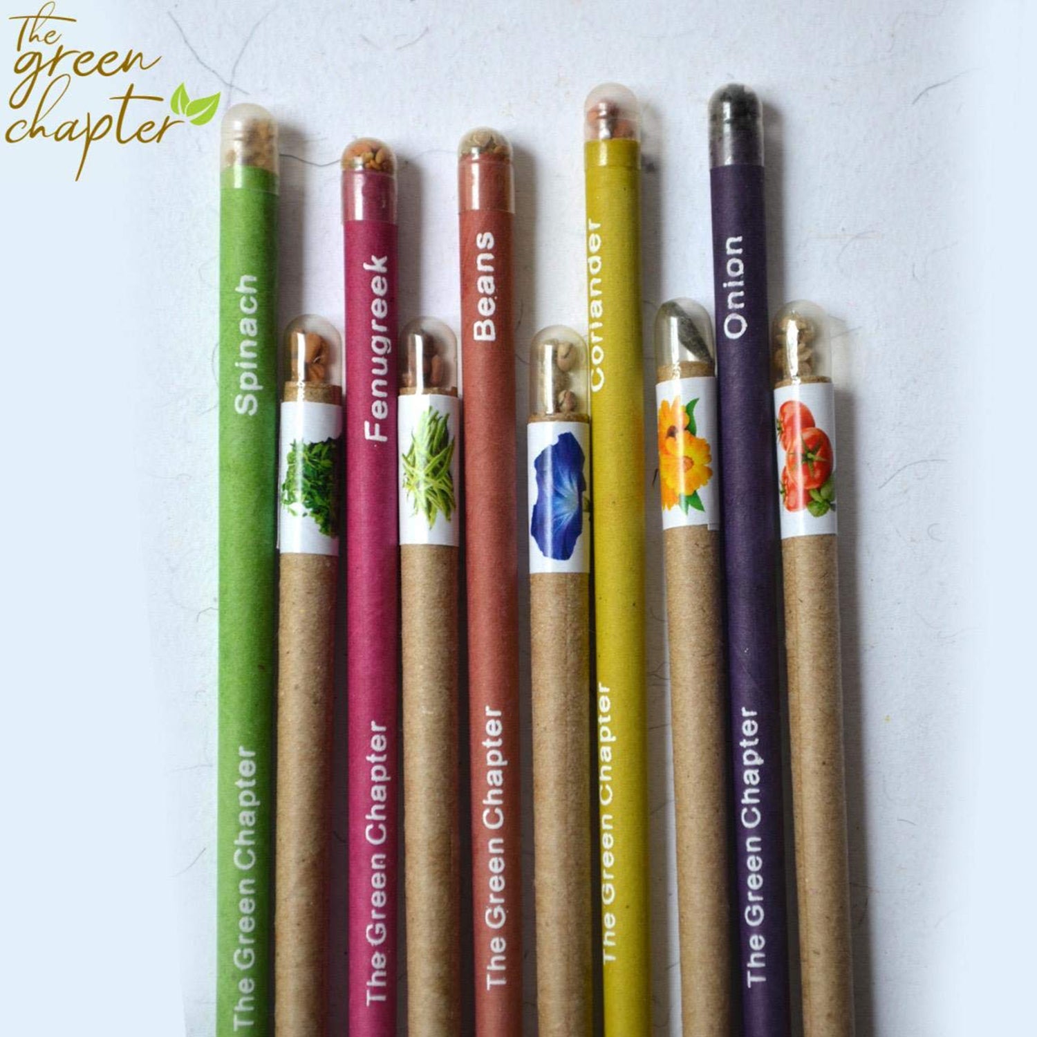 Plantable Seed Blue Ball Pens and Pencils