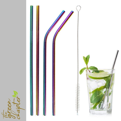 Stainless Steel Straw for Kids and Adults