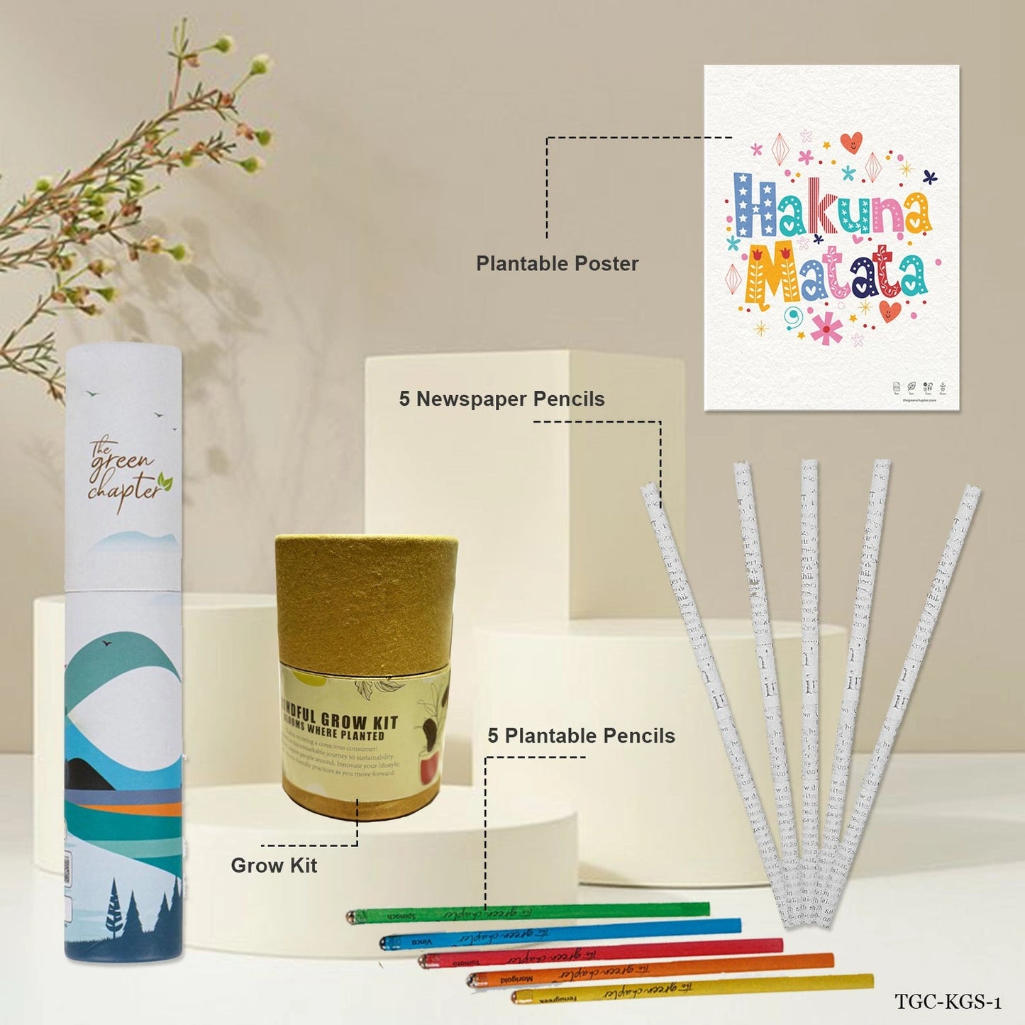 Kids Sustainable Gift Set – 5 Newspaper Pencils, 5 Seed  Pencils, 1 Seed Paper Poster, 1 Grow Kit – Eco-Friendly Educational Gifts