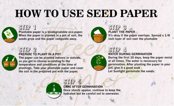 How to use Seed Paper