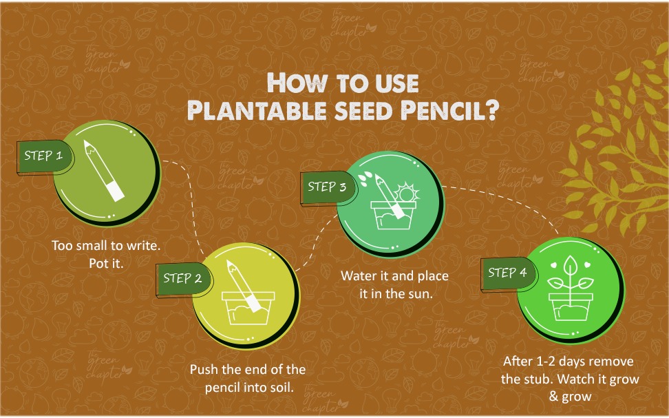 Instruction Set - How to Use The Green Chapter Plantable - Seed Paper and pencils 